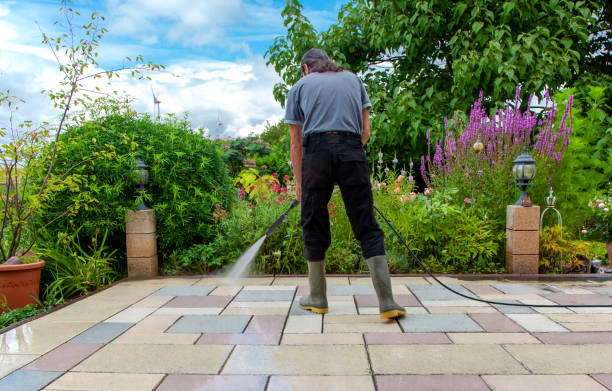 Best Soft Washing for Delicate Surfaces in Cassville, WV
